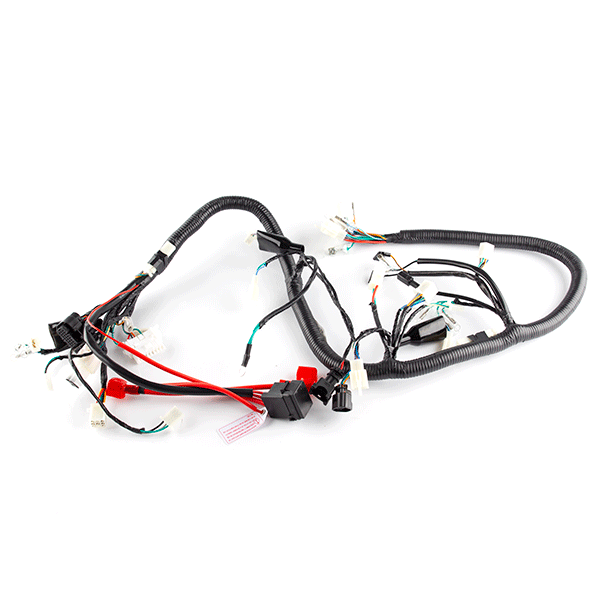 Wiring Loom for SK125-8-E4, SOFTCHOPPER2