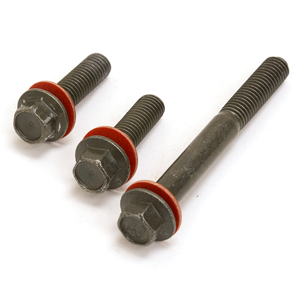 Pillion Handle Fixing Bolts for WY50QT-111