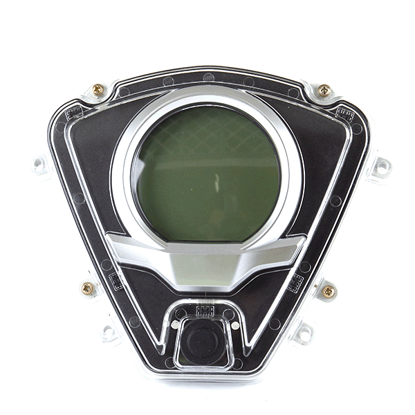 Speedo Assembly for ZS125T-48