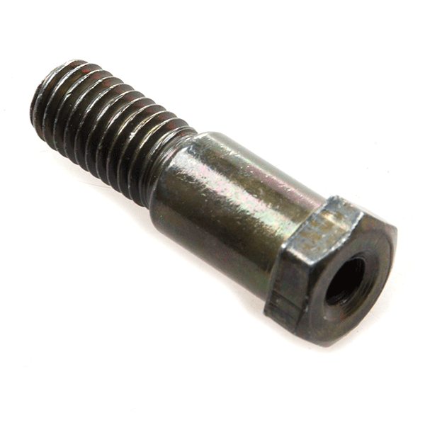 Side Stand Bolt