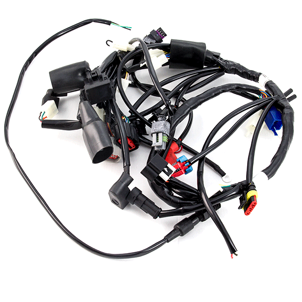 Wiring Loom for ZS125-79-E4, ZS125-79H