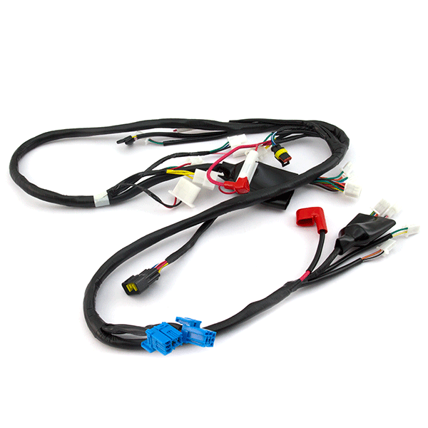 Wiring Loom - Main Harness for LJ125T-16, CITY125