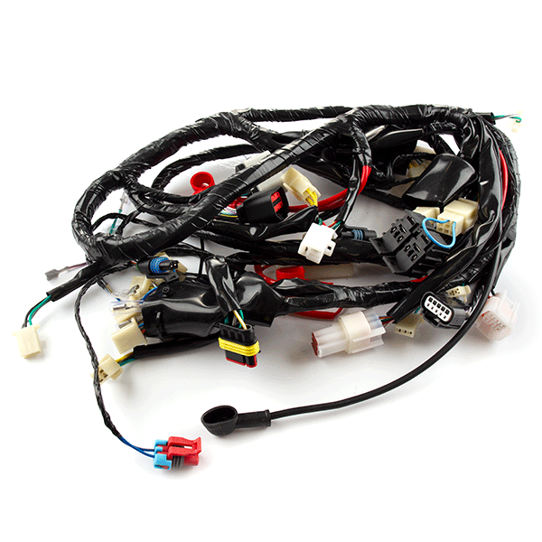 Wiring Loom for ZN125T-Y