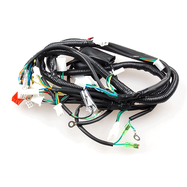Main Wiring Loom Euro 4 for WY125T-74R-E4