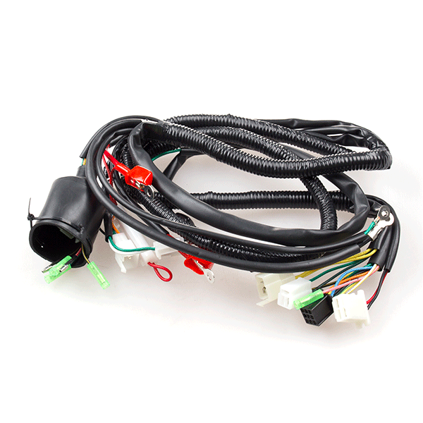 Wiring Loom for WY125T-108-E4