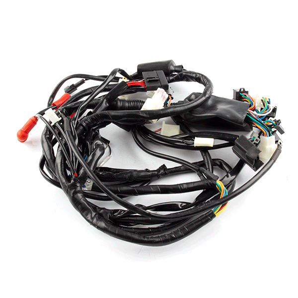 Wiring Loom for ZS125T-48