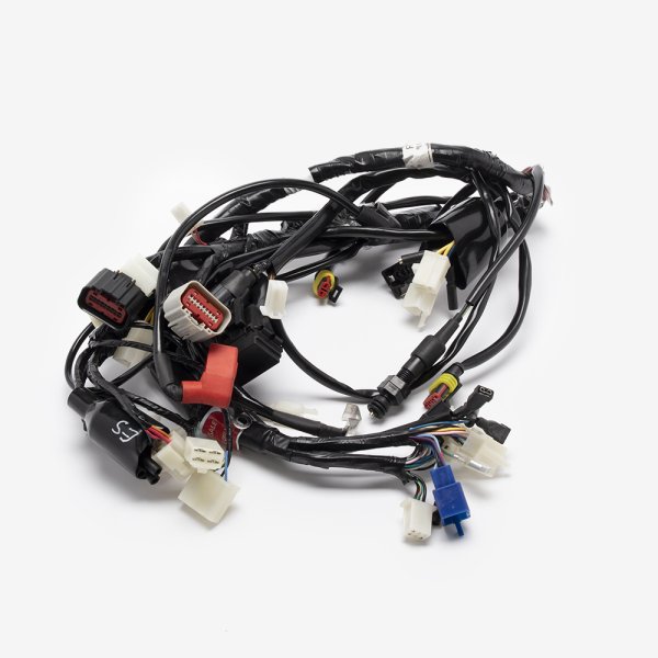 Wiring Loom for ZS125-79-E5