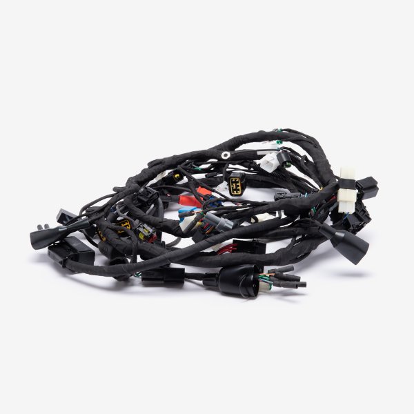 Wiring Loom for LX650-2C-E5