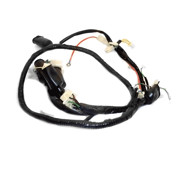 Wiring Loom for ZN125T-E