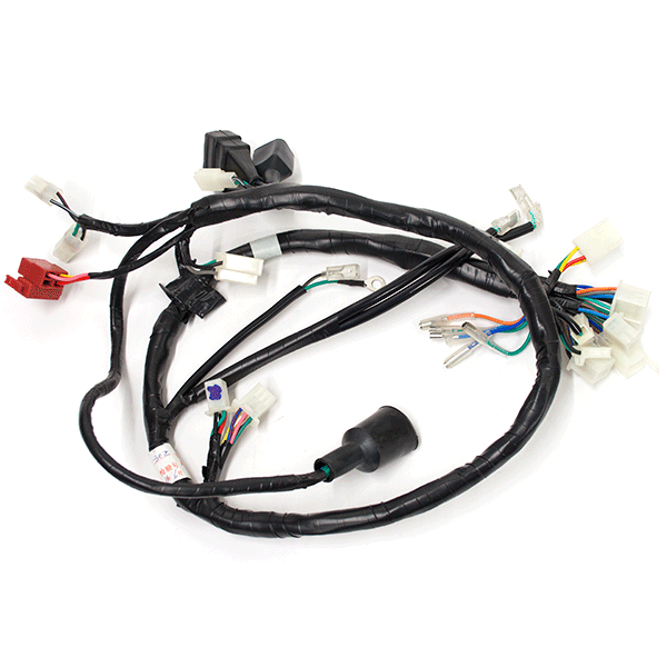 Wiring Loom for ZS125-30
