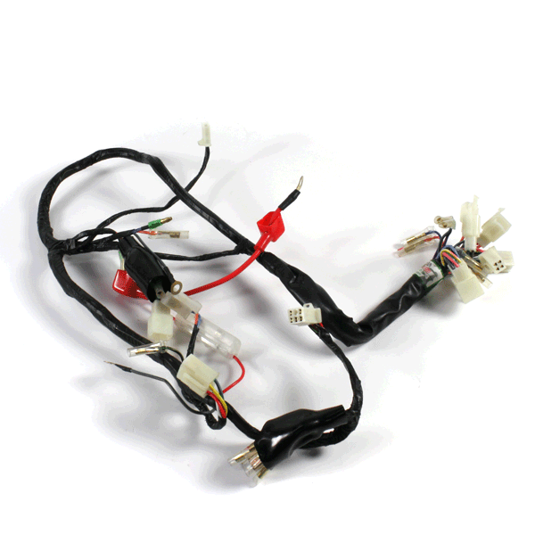 Wiring Loom for ST125-8A
