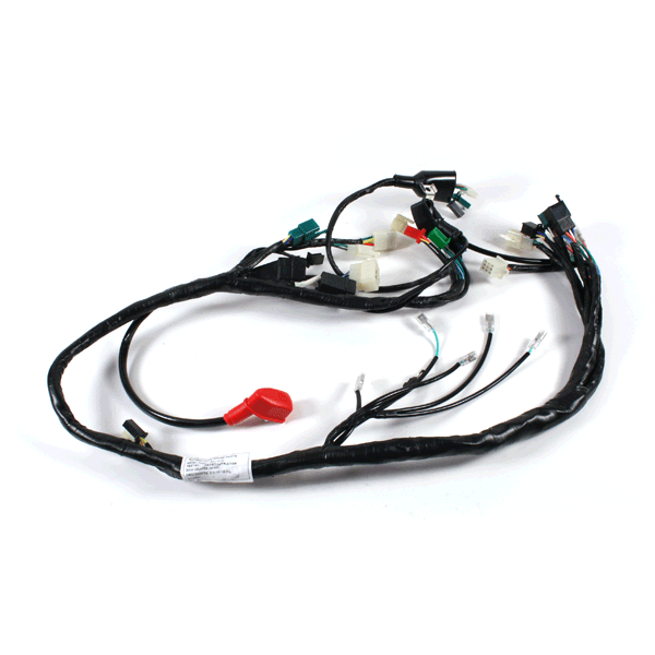 Wiring Loom for ZS125-50