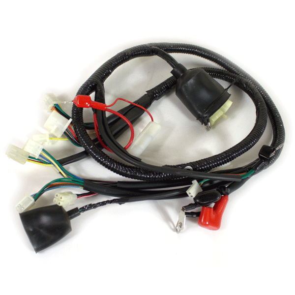 Wiring Loom for WY50QT-111