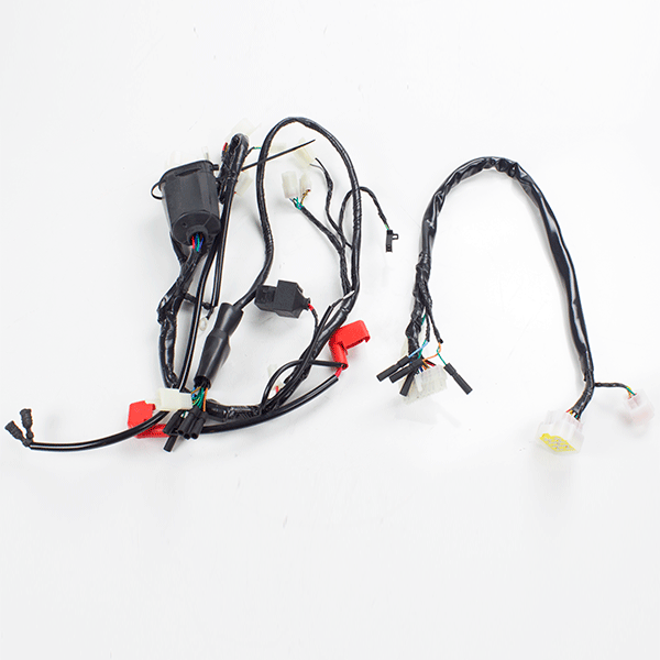 Wiring Loom for ZS125-48E