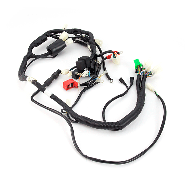 Wiring Loom DRL for ZS125-79