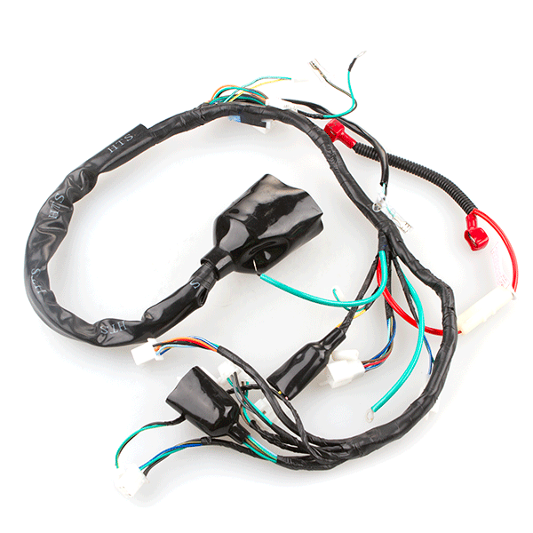 Wiring Loom (Post June 2016) with Revised Headlight Connector for SK125-22, SK125-22S