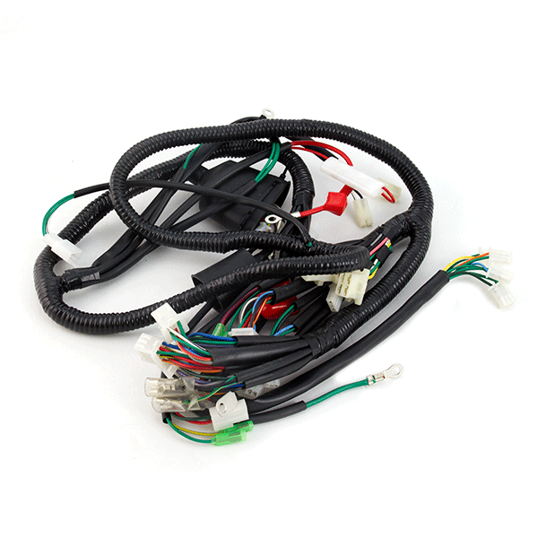 Wiring Loom DRL for WY125T-121, WY50QT-110