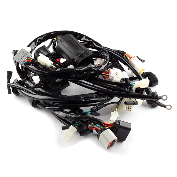 Wiring Loom for ZS125-48F-E4