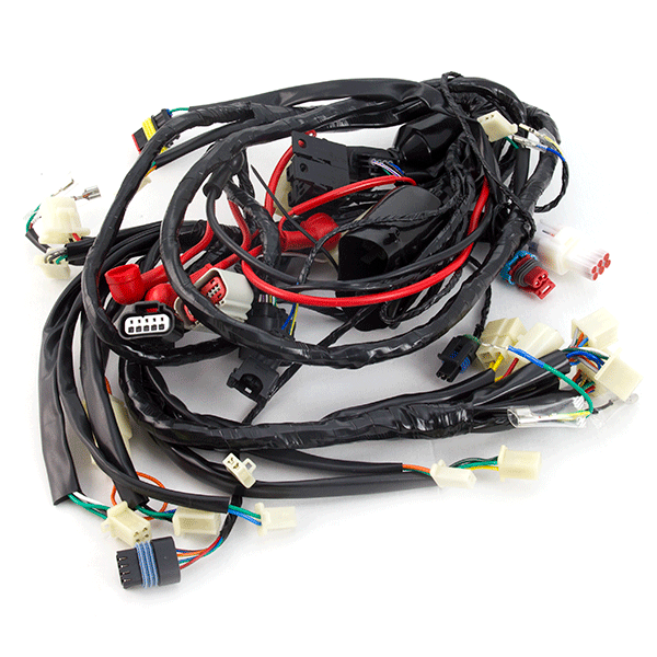 Wiring Loom for ZN125T-34