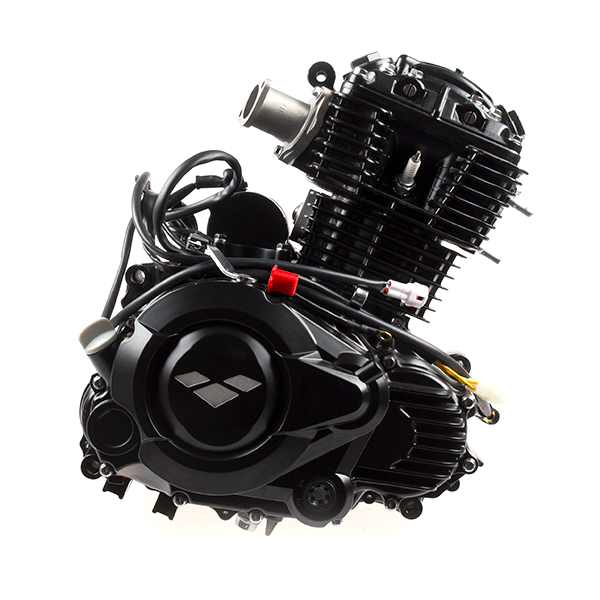125cc Motorcycle Engine SK157FMI-D for SK125-22 (ROMET), SK125-22-E4, SK125-22A