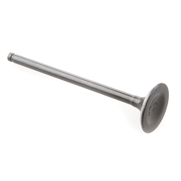 Exhaust Valve for MH125GY-15, MH125GY-15H