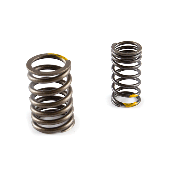 Valve Spring for ZS125T-48
