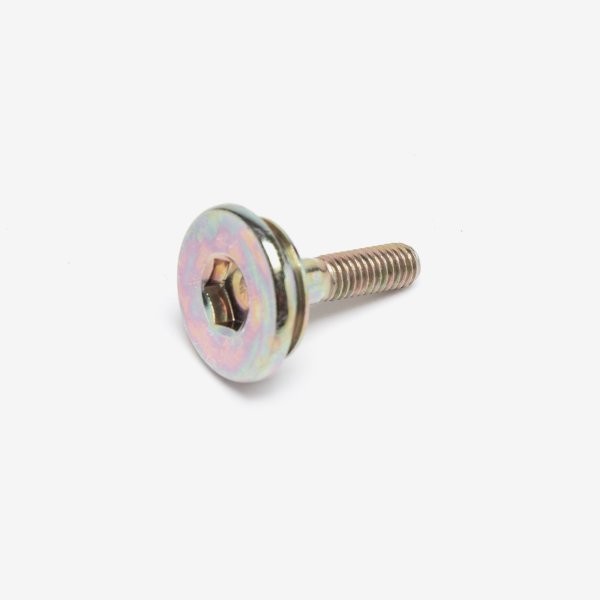 Camchain Guide Bolt