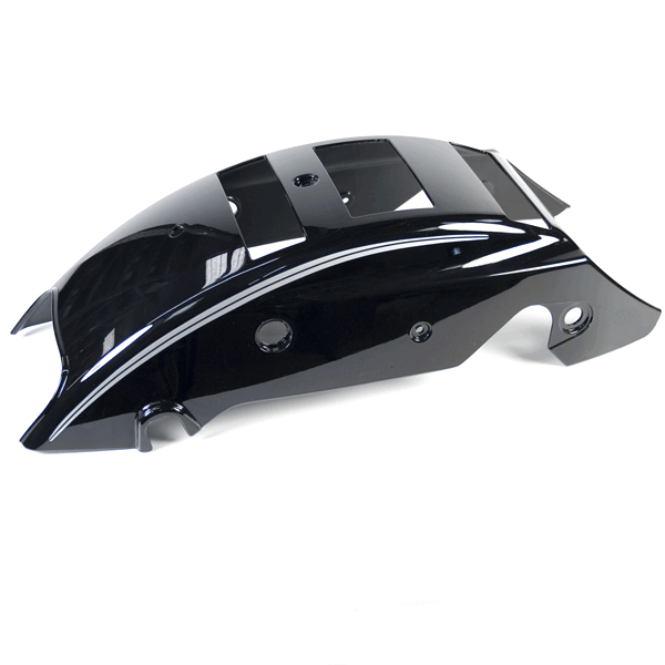 Rear Gloss Black Panel for ZS125-30