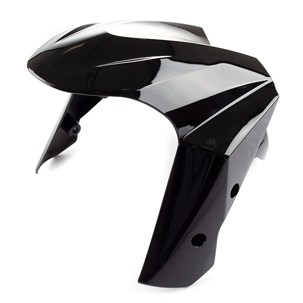 Front Black Mudguard for ZS125T-48