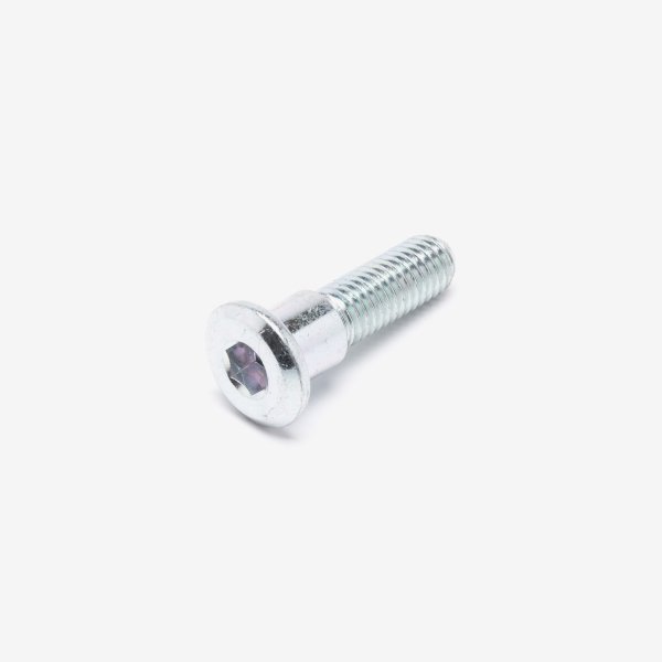 Front Disc Bolt M8 x 30mm for LJ300T-18A-E5
