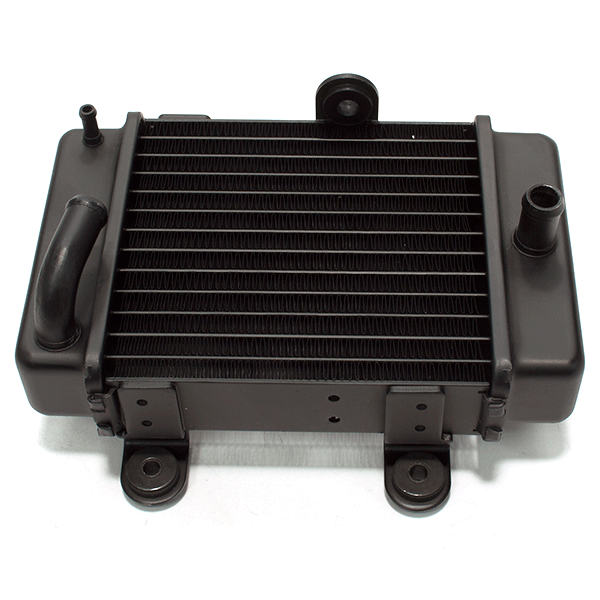 Left Radiator for ZS125GY-10, ZS125GY-10C