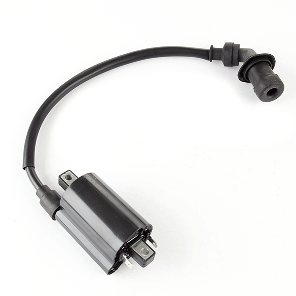 Ignition Coil for ZS125T-48