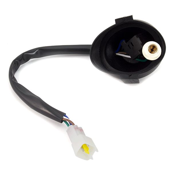 Headlight Bulb Holder/Wiring
