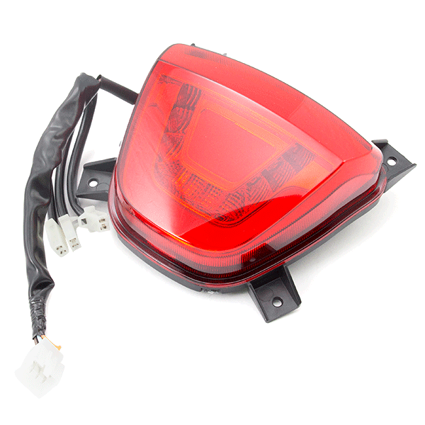Tail Light Assembly for ZN125T-Y