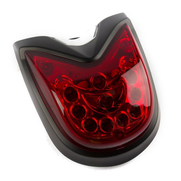 Tail Light Assembly for ZS125-79-E4