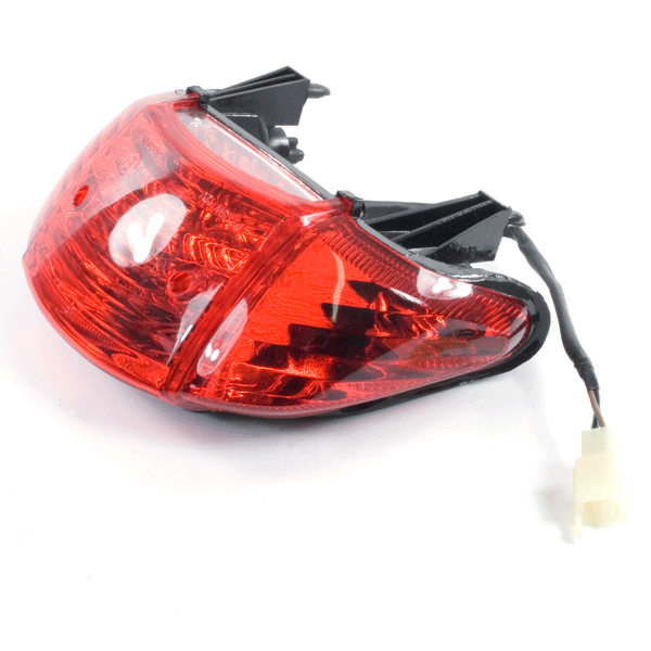 Tail Light Assembly for LF100-A