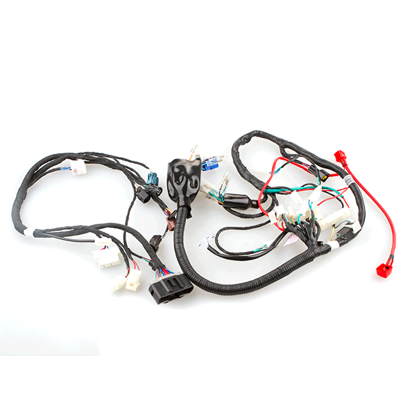 EFI Wiring Loom - WRLM169 | CMPO | Chinese Motorcycle Parts Online