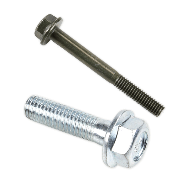 Luggage Rack Bolts
